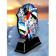 Akrylátová trofej FABM45 | Snowboard