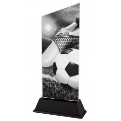 Akrylátová trofej CAS0102 | Fotbal